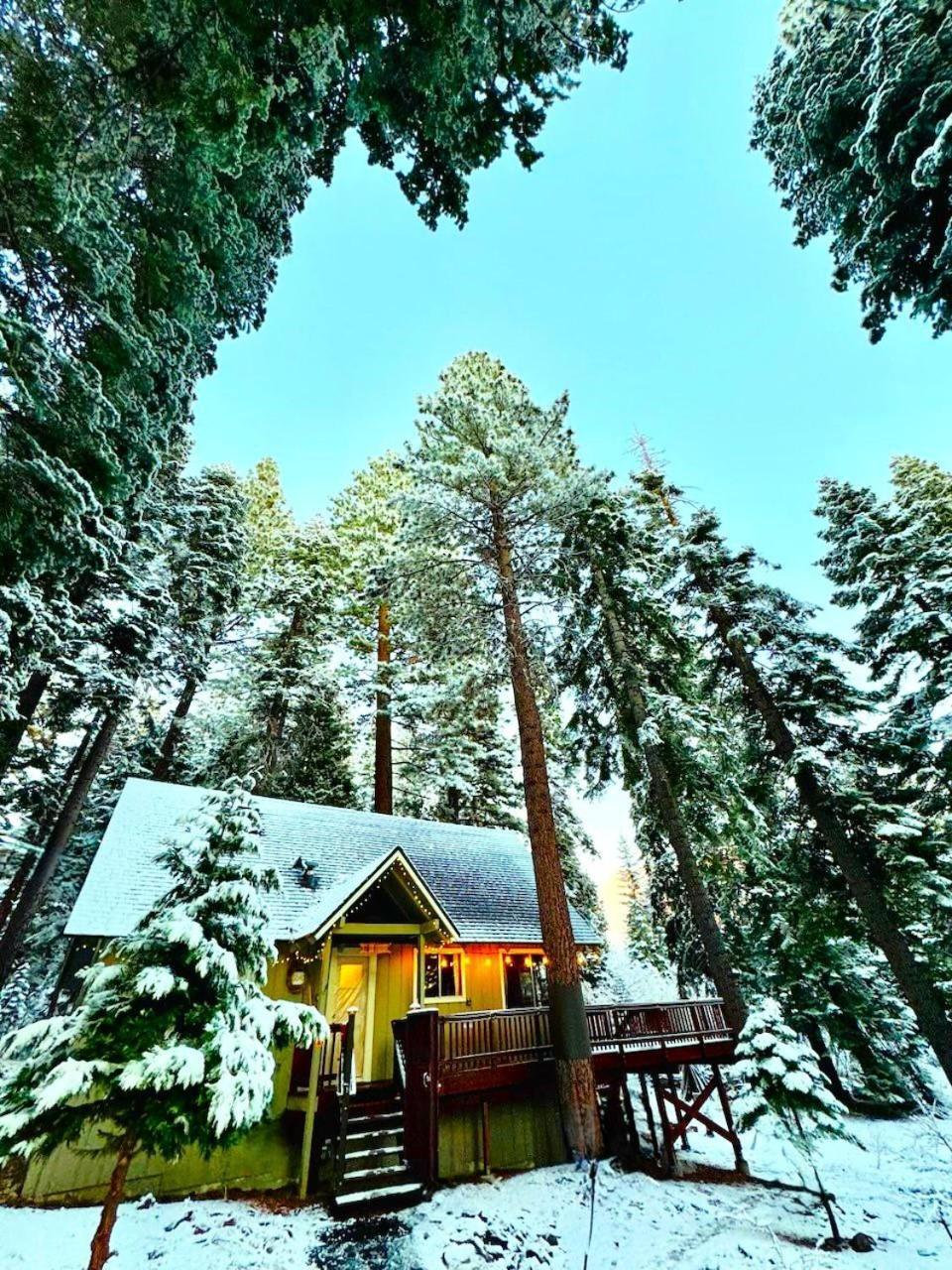 The Honey Bear Cabin Carnelian Bay Exterior foto